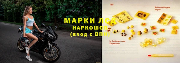 apvp Аша