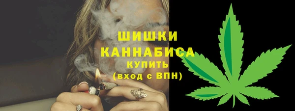 ешки Медногорск