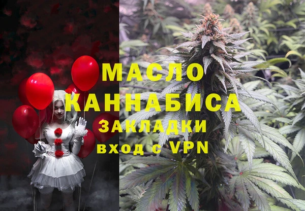 ешки Медногорск