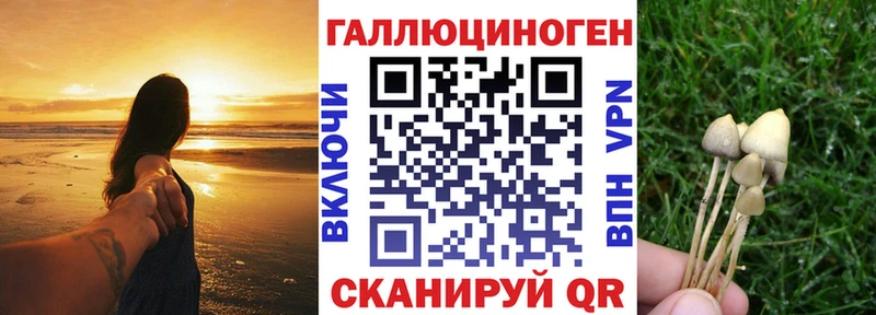 ссылка на мегу сайт  купить наркоту  Дятьково  Псилоцибиновые грибы прущие грибы 