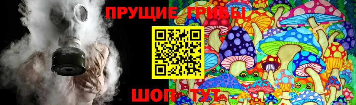 Псилоцибиновые грибы Psilocybe Дятьково
